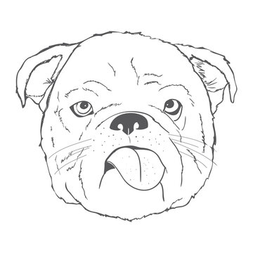 Dog hand drawing pattern. French bulldog vector cartoon wallpaper.