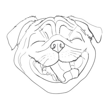 Dog hand drawing pattern. French bulldog vector cartoon wallpaper.