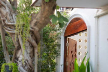 Beautiful home garden mini plant pot