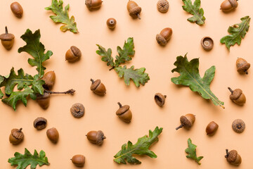 Branch with green oak tree leaves and acorns on colored background, close up top view