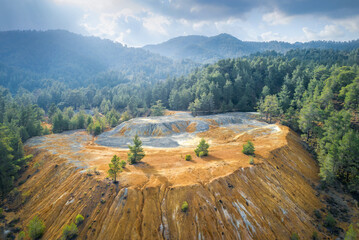 Restoration of abandoned mine site. Pine trees growing over copper and gold mine tailings in Paphos...