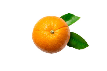 fresh orange citrus fruit isolated on white background top view