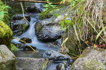 Long exposure of a small, hardly water-bearing waterfall in the Westerwald/Germany