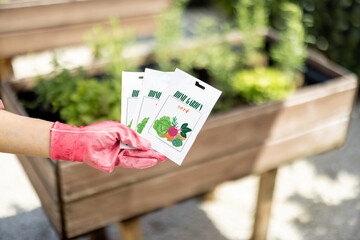 Holding vegetable seeds in paper packets with growing plants on background, close-up. Growing...
