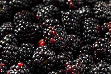 Raw Black Organic Blackberries