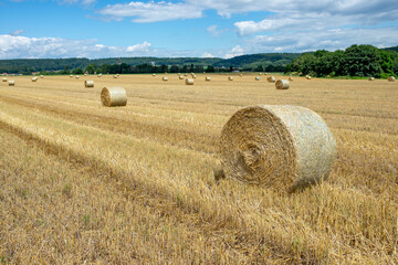 Hay bales in a farm field. The autumnal season