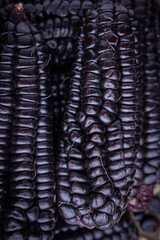 purple corn