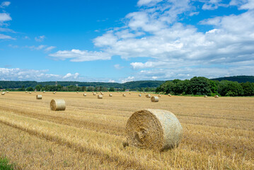 Fototapeta premium Hay bales in a farm field. The autumnal season