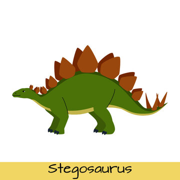 Stegosaurus dinosaur vector illustration isolated on white background.