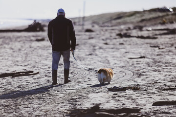 walking in the desert