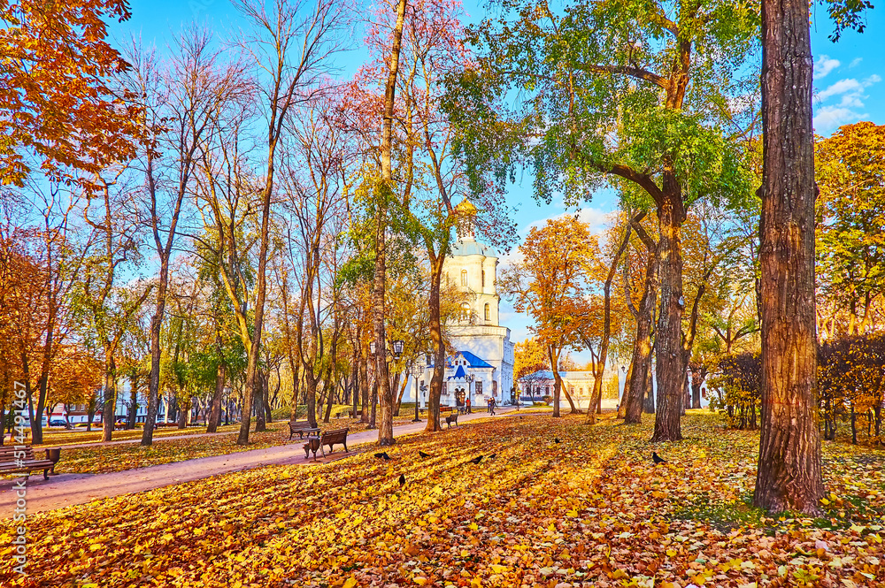 Canvas Prints The golden foliage on the ground of Chernihiv Citadel Park, Chernihiv, Ukraine