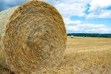 Hay bales in a farm field. The autumnal season