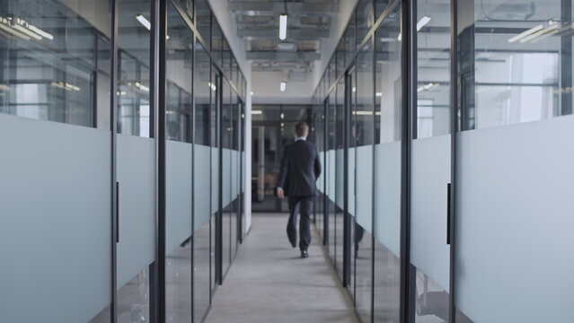 Back View Of Office Worker Walking Along Hall With Glass Doors, Corporate Business