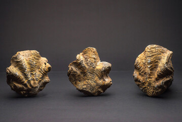 DETAILS OF ANCIENT PERUVIAN CERAMICS OBJECTS