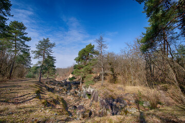  A  view of the old sandstone quarries near Chamcueil (Ile de France)