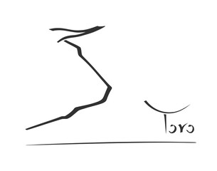 Spanish bull illustration