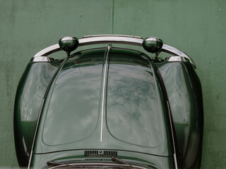Green car hood top view.