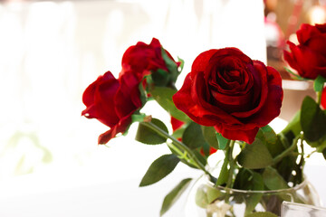 Bouquet of fresh red roses with large fragrant buds in a glass vase on white isolated background, space for text. Floral arrangement for interior decor. Bunch of garden flowers on a table on terrace.