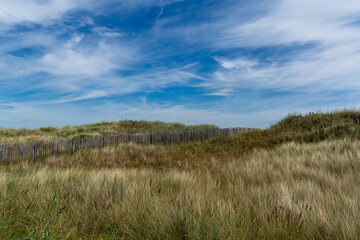 landscape view of grass and sand dunes with an erosion prevention fence at St. Andrews beach in...