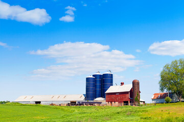 American Countryside With Cows and Farm