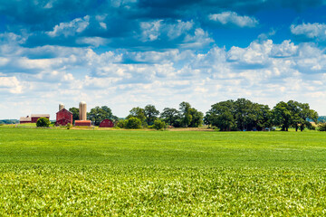 American Countryside in Summer Time