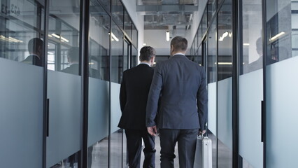 Two serious men with briefcase walking along office hall, business meeting, back view