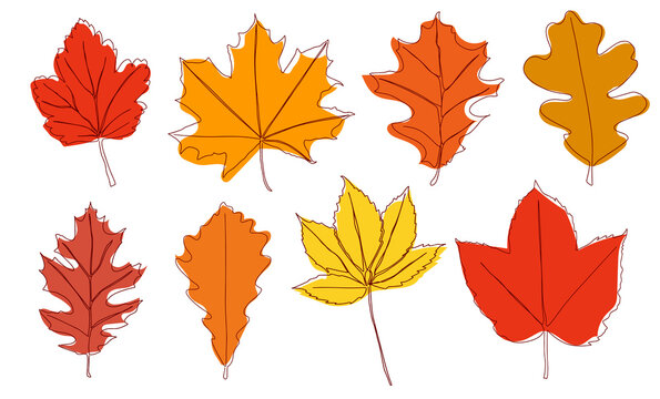 A Set Of Autumn Leaves Drawn With A Continuous Line. Autumn Leaf In One Line Style Icon Vector Illustration Design