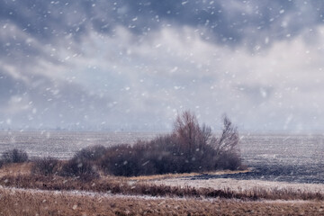 Winter landscape with trees and bushes in the field and cloudy sky during snowfall