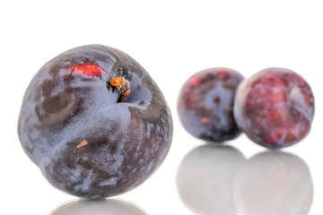 Three ripe black plums, close-up, isolated on a white background.