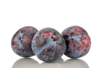 Three ripe black plums, close-up, isolated on a white background.