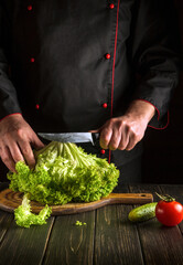 Chef cutting green fresh lettuce leaves before preparing vegetarian food