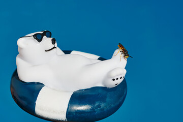 Close up of a wasp (vespidae) perched on a plastic polar bear swimming in a pool.