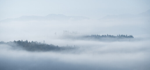 Autumnal landscape with parts of forest and mountain sticking out of the thick fog,Slovakia, Europe