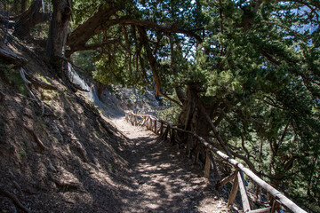 Hiking trail through the Samaria Gorge on the Greek island of Crete