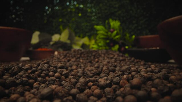 Dried black peppercorns. Dry aromatic black pepper seeds