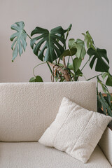 Interior element. Cozy white sofa with a soft decorative cushion and plant monstera.