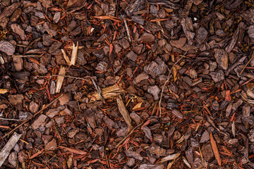 Wood chip mulch background texture in a flower bed