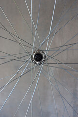 bicycle aluminum rim element with spokes and bushing