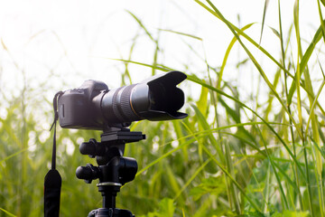 The camera and zoom lens are tuned to capture wildlife in nature. Photography hobby.