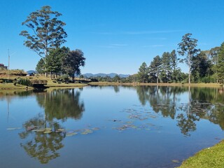 Fototapeta premium lake and trees