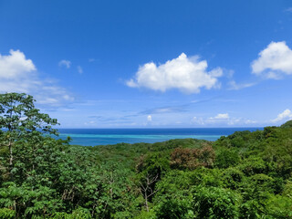 Fototapeta na wymiar An aerial view of a tropical beach in Roatan Honduras