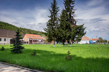 Land with green grass and fir trees in Viisoara, Bistrita, Romania 2022