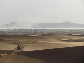 desert in the morning
