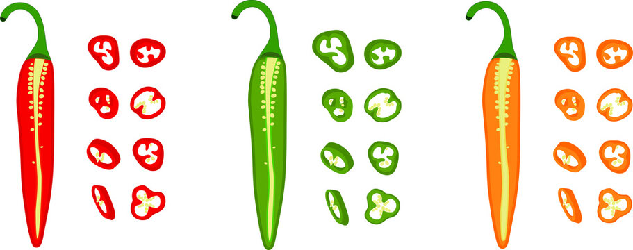 Hot pepper vector illustration. Hot pepper. Chilli. Cayenne pepper. Piece of pepper, pepper pieces with seeds, pepper circles, chopped pepper with seeds.
