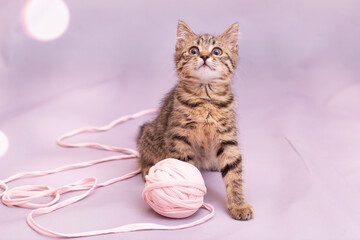 A tabby kitten is playing with a large ball of pink braid.