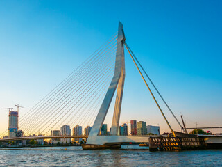 Fototapeta na wymiar Rotterdam with bridge and skyline
