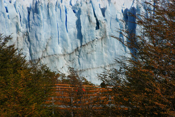 Blue and white ice walls of the Perito Moreno Glacier