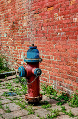 A red and blue fire hydrant in the streets of Binghamton in Upstate NY.  An old red brick wall is the backdrop of this urban scene in Broome County.