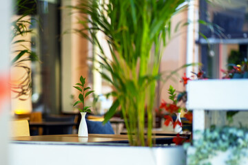 Elegant white vase with a green flower on the table in the cafe