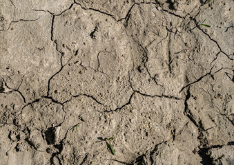 Ackerbau - Klimawandel, ausgetrockneter Boden wird rissig. 